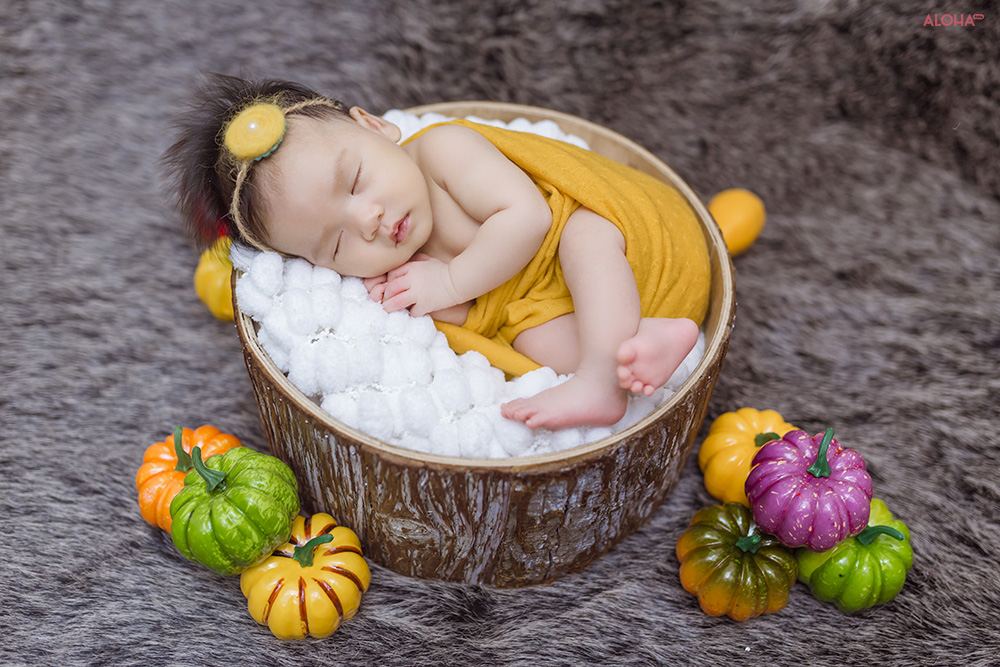 album ảnh newborn 22